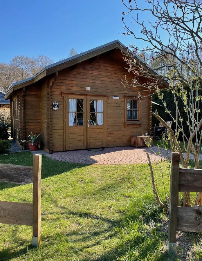 וולגסט Tinyhouse Meereszauber- Ruhige Lage, Eigener Garten, Grill מראה חיצוני תמונה